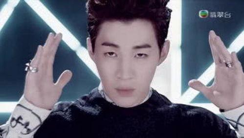 刘宪华什么背景